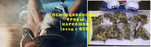 дурь Каменка