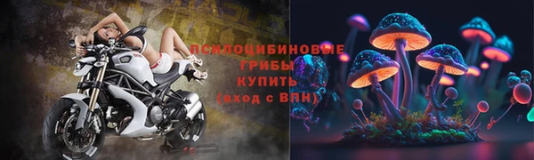 амф Каменск-Шахтинский