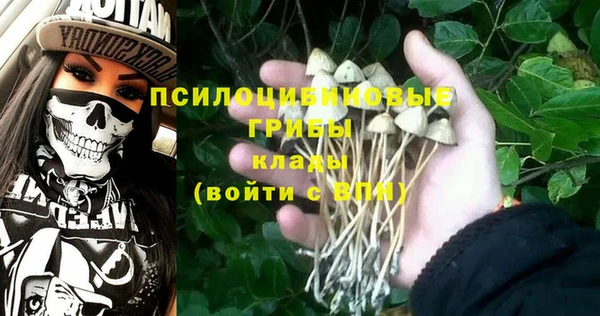 дурь Каменка