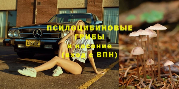 герыч Каменногорск