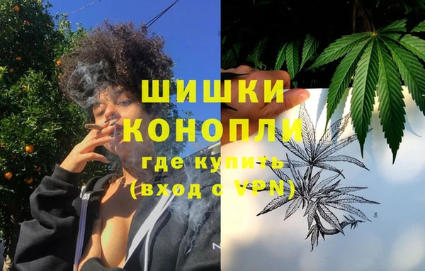 дурь Каменка