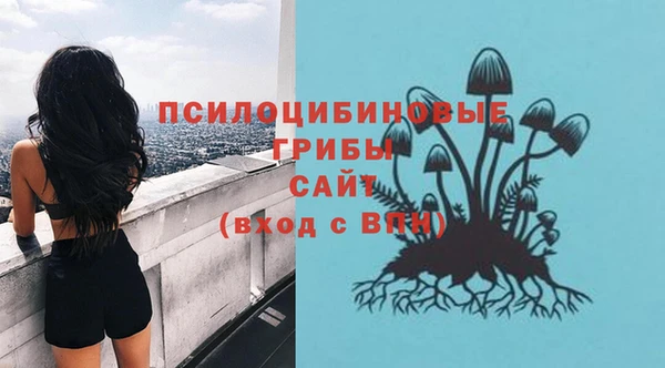амф Каменск-Шахтинский