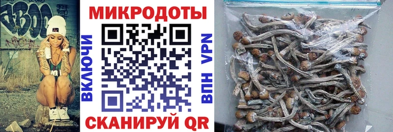 Псилоцибиновые грибы прущие грибы  Обнинск 
